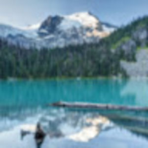 Meet your Posher, Fiona